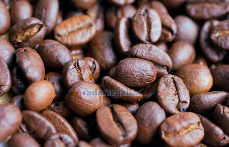 Rahasia Kopi yang Bikin Cilacap Bergetar: Ethnic Coffe, Tempat Nongkrong Favorit Warga